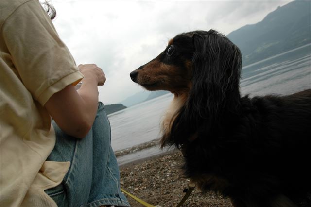 うんうん、ご褒美ね。