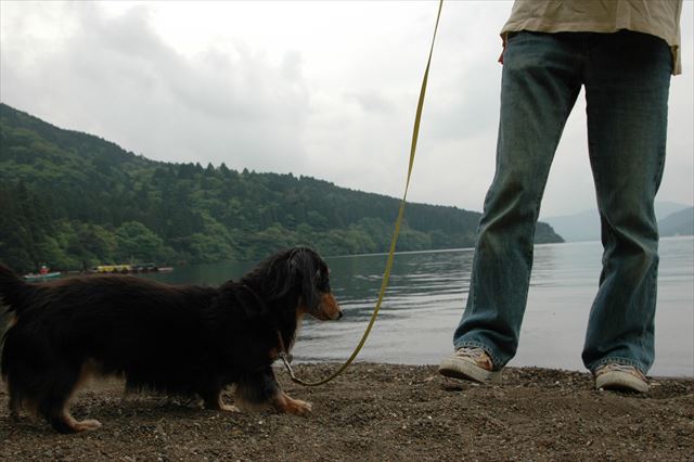 お天気悪くても、ルパンがいればいつも心は晴れだった