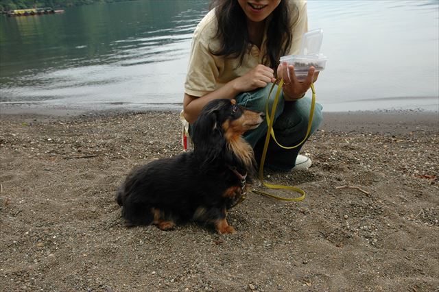 ルパンはおりこうさん。どこに行ってもおりこうさん。