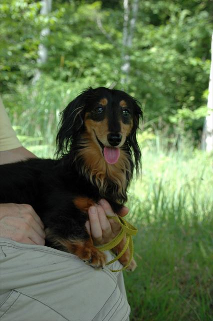 暑いね。木陰のベンチでひと休み。