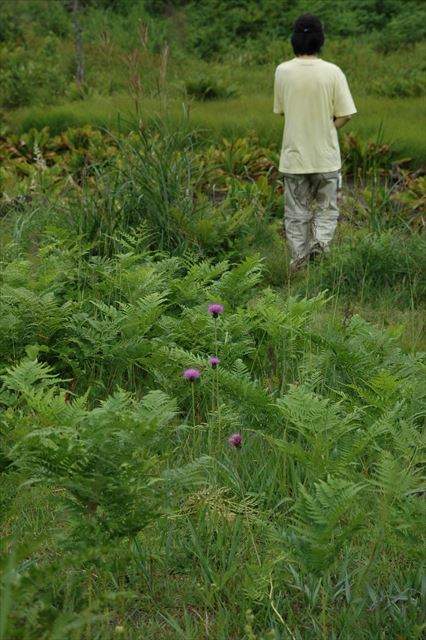 papaの抱っこで守られてルパンも私も安心。