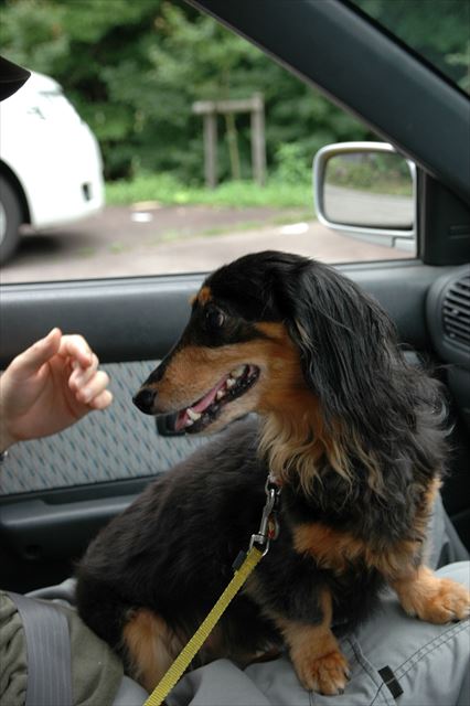 駐車場に車を止めてみんなで休憩。おやつあげるよ！