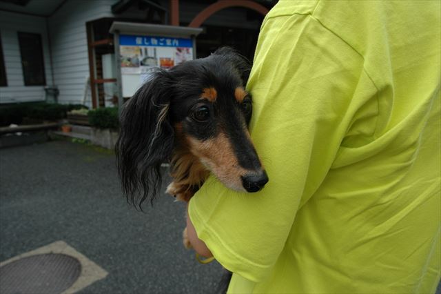 何か気になる？