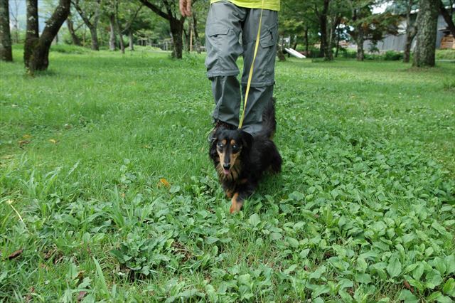 大好きだったね。桜野公園。