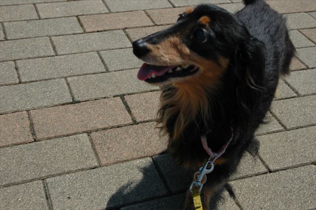 暑いね。だっこしようか？