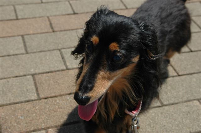 暑いね・・だっこしよっか？