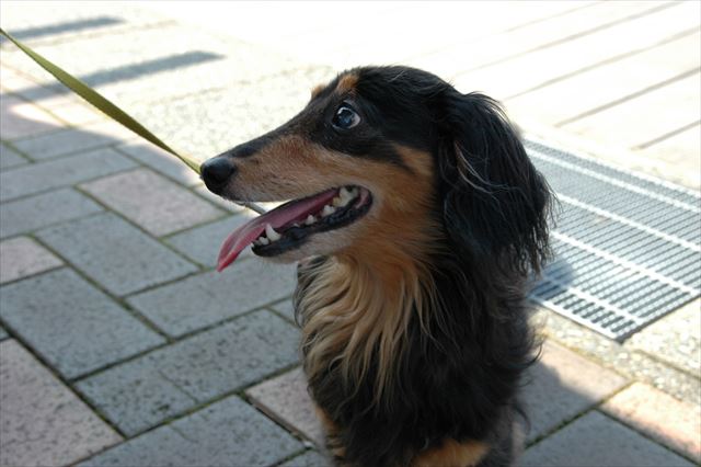 夏のルパン。大好きだよ。