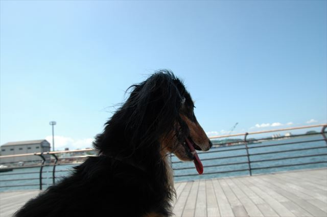 きれいな空だね、海だね、ルパンがいて幸せだよ。