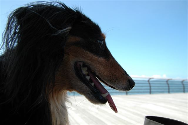 青い海、青い空、そしてルパンの笑顔。