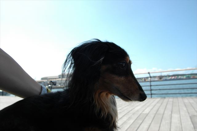 能登への旅行。ルパンがいたから楽しかった。