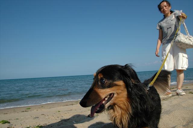 真っ青な海。真っ青な空。ルパンの笑顔。