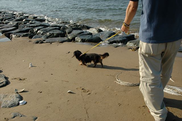 いつまでも一緒だよ。私もルパンのそばにいるよ。
