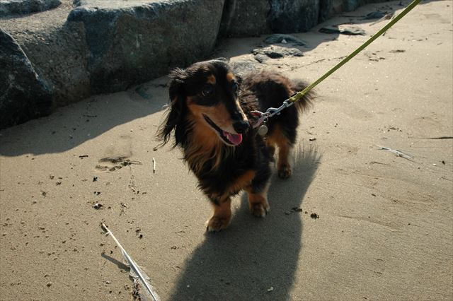 ルパン、大好きだよ・・