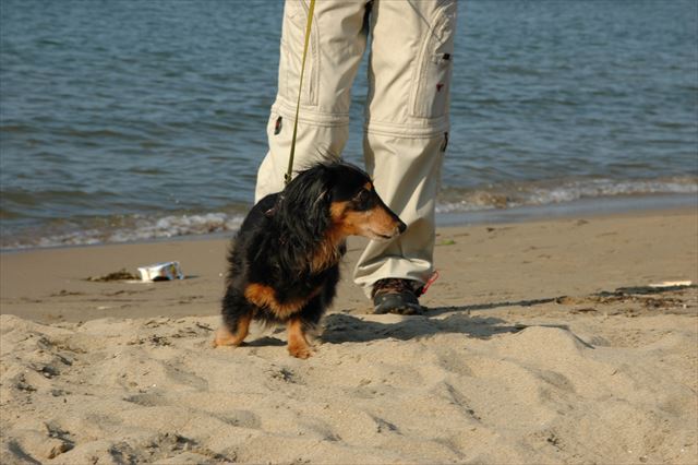 雨晴海岸。きれいだったね。楽しかったね。思い出をありがとね。