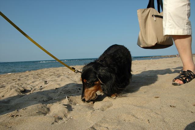 ルパン、思い出をたくさんありがとね。