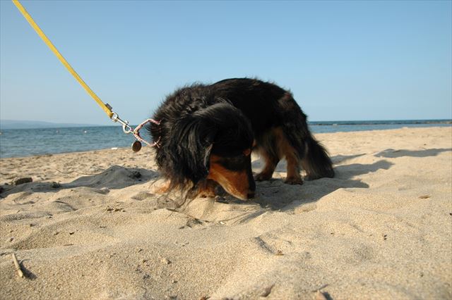 雨晴海岸。忘れられない思い出だよ。