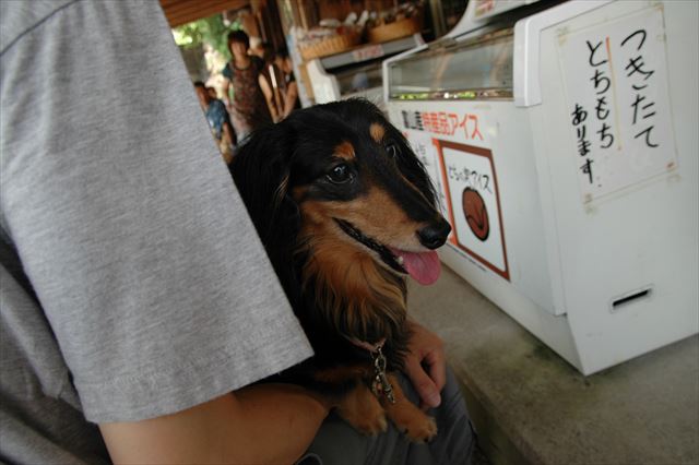 五箇山。ルパンと一緒に出掛けた場所。みんなみんないい思い出。