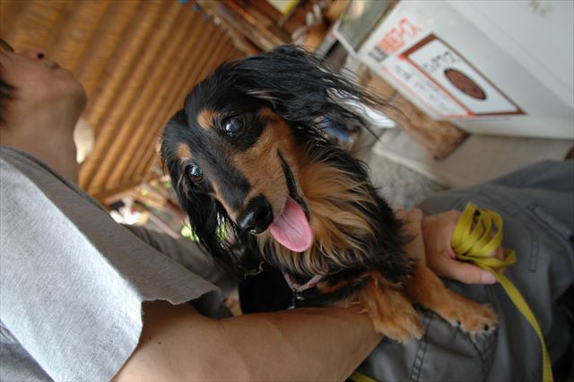 五箇山。かわいいな。ルパン、かわいいな。