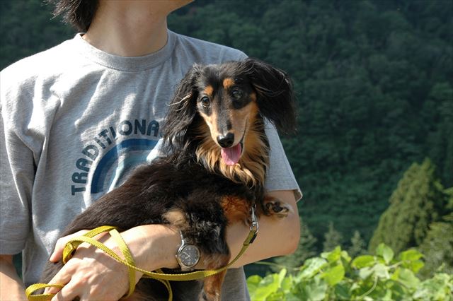 五箇山。甘えた顔がかわいくってたまらない。