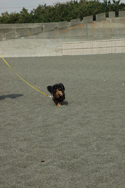 海辺をよく走ったよね。一緒に走ったね。