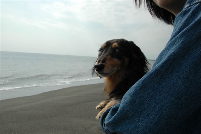 何を見てるのかな。何を思ってるのかな。