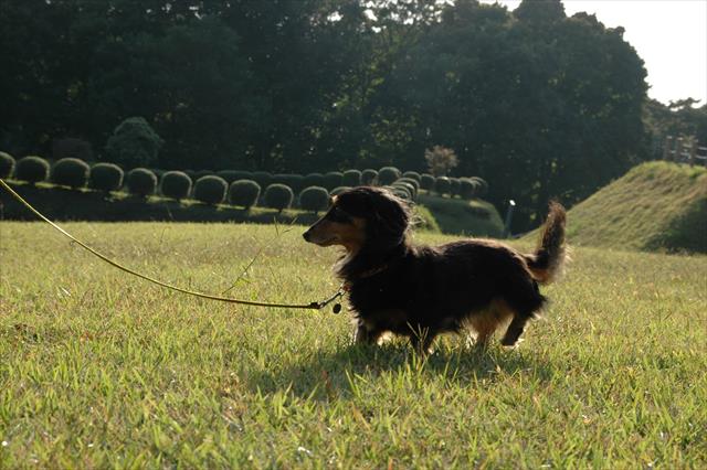 広かったね。一緒にたくさん走ったね。