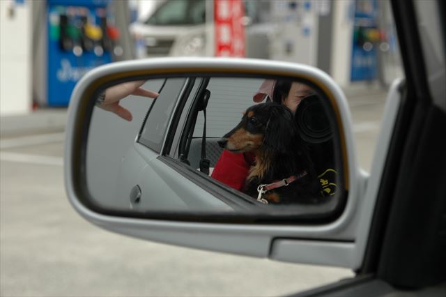 papa帰ってきたよ！