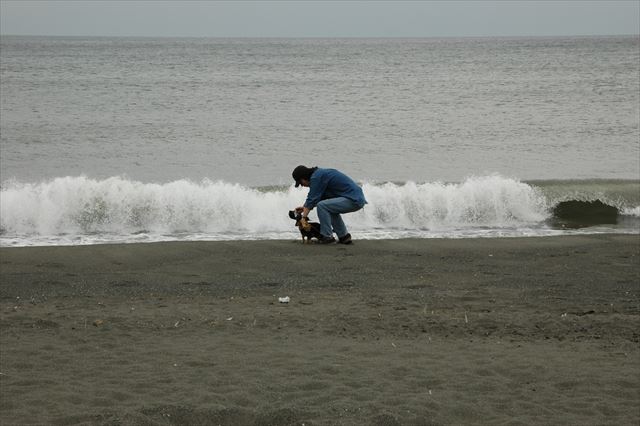 いつでもpapaが守ってくれてるよ。