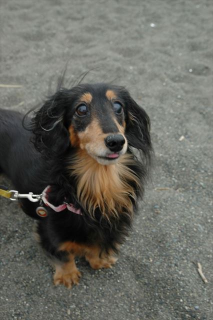 その顔は・・だっこでしょ？