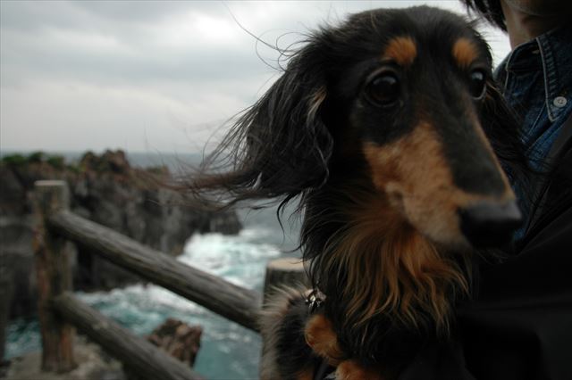 だっこ。ここなら安心♪　これが大好き。