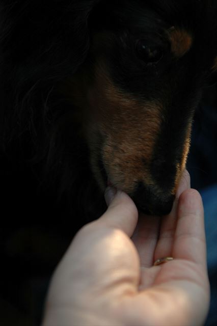 私からも。あげる♪