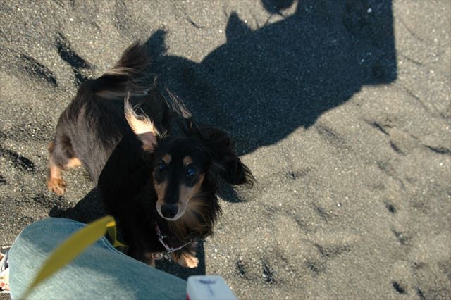 うんうん、おりこうちゃん！ごほうびね。