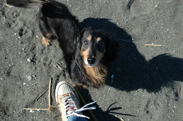 ルパン、大好きだよルパン・・