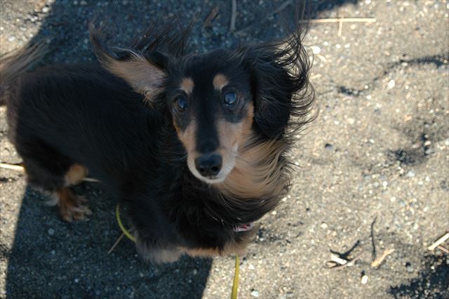 奇跡みたいにかわいい子だったな・・