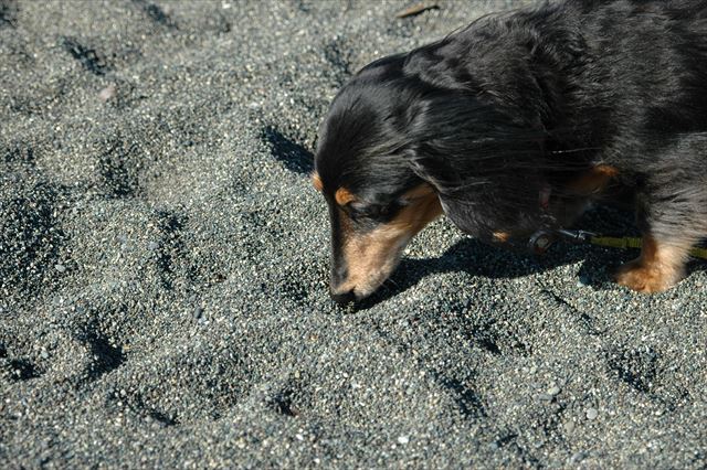 何を感じてるんだろうな・・ルパンのこと、何でも知りたかった。