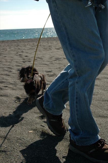 さあ、行くよ！