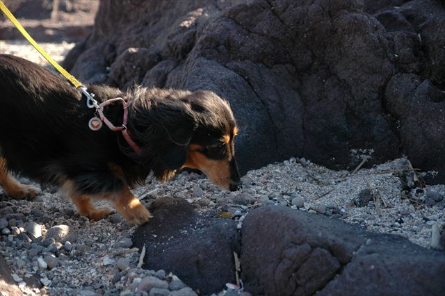 何か気になるね・・