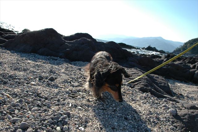 どこへ行くのもルパンと一緒。今でも。