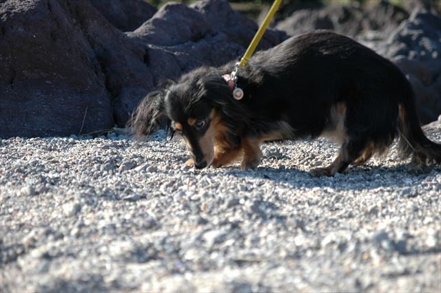 気になるね。何の匂いかな・・