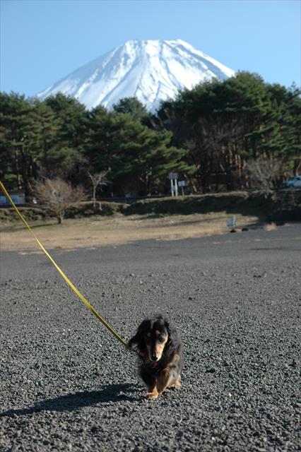 富士山とボク。