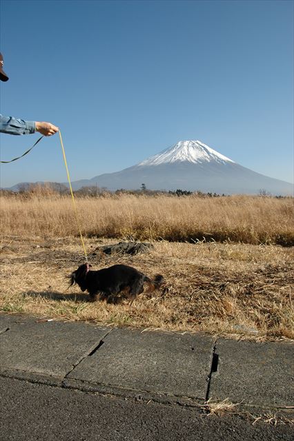 ルパン、ほら富士山。見てる？