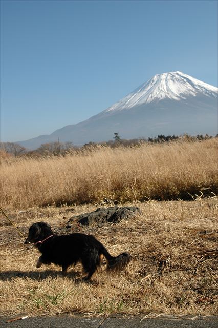 富士山とルパン。遠くまで来たね。