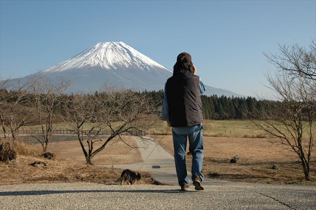 いい風景だな。ルパンとpapaがいるからだよ。