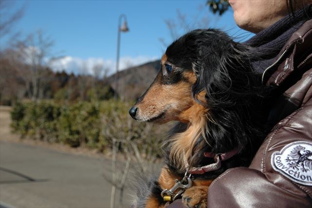 冬晴れ。寒かったね。抱っこされてヌクヌクだったね。