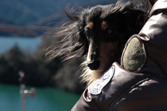 寒いからしっかりだっこしてあげてるよ。