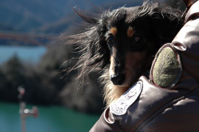 広いところをお散歩しようと思ったんだけど・・寒かったね！