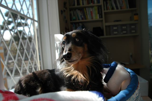 幸せな時間だね・・