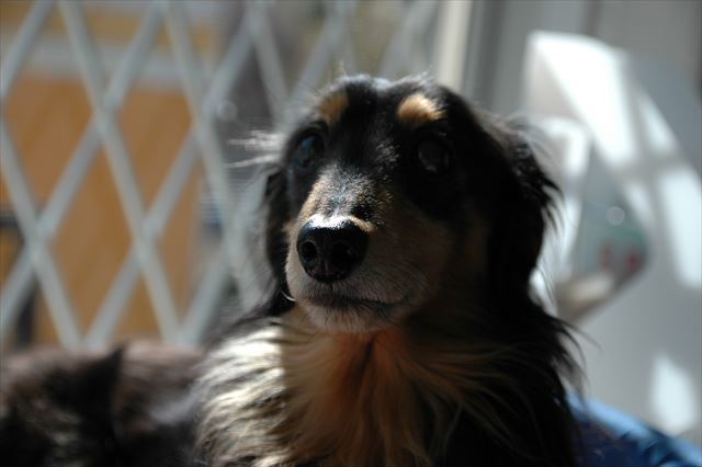 今でもここはルパンの場所だよ。守ったよ、全力で守ったよ。