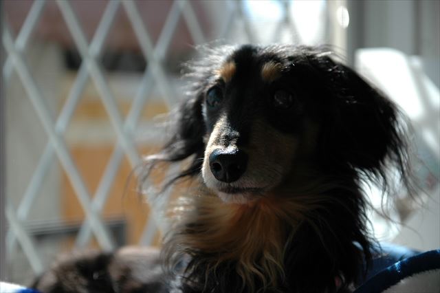 ルパンに守られてるのかなって時々感じるよ・・