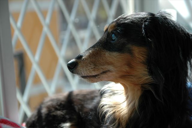 なんてかわいいんだろう・・